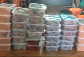 WhatsApp Image 2021-10-17 at 10.53.19 PM (1)